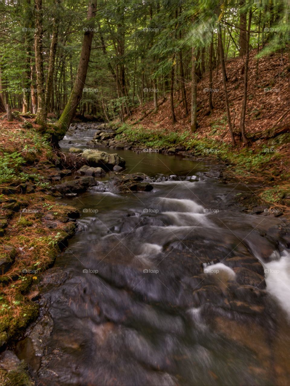 Adirondack stream