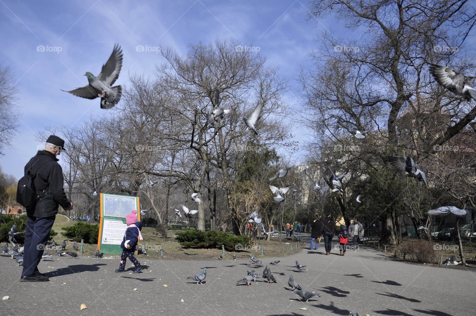 In the park