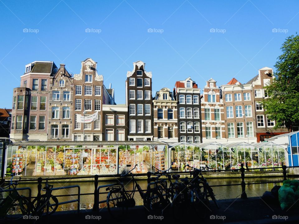 View of the flower market in Amsterdam 