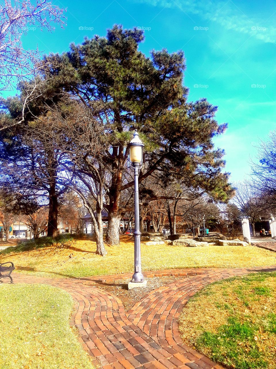 Lightpost In The Park