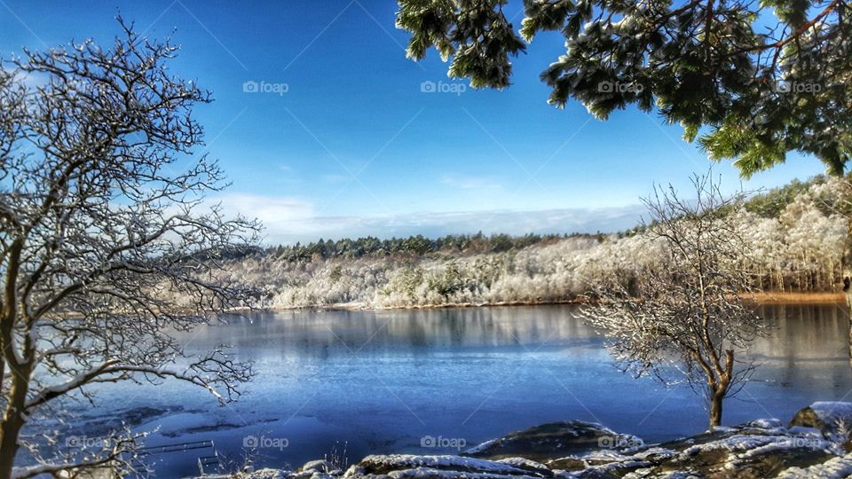 View over Winter lake