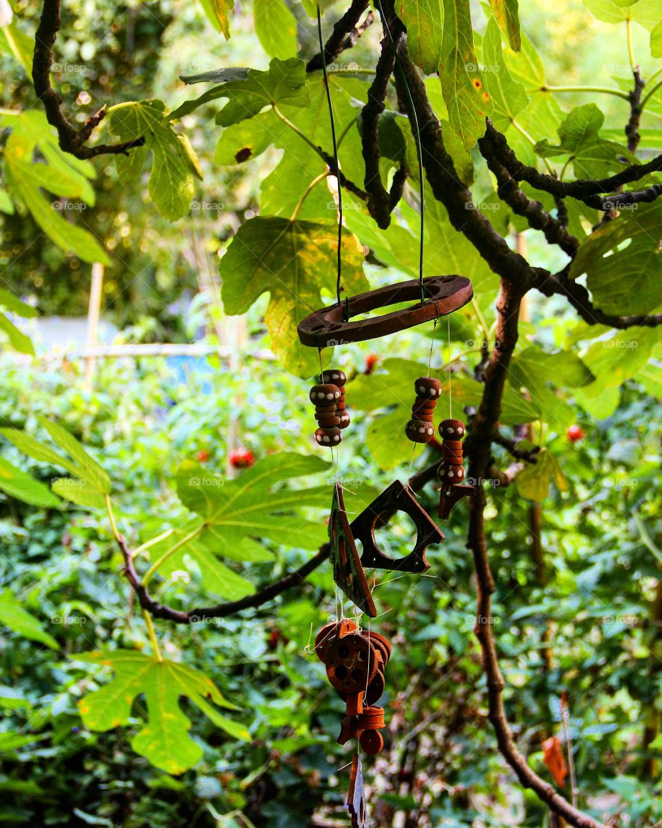Dream catcher hanging on tree
