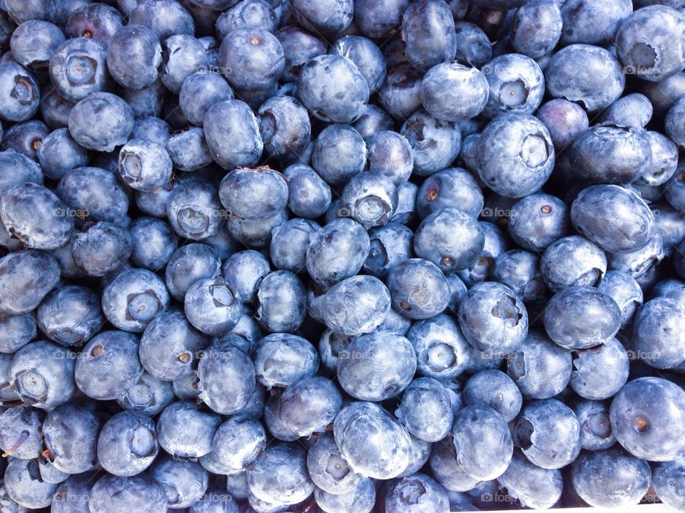 Macro shot of blueberries