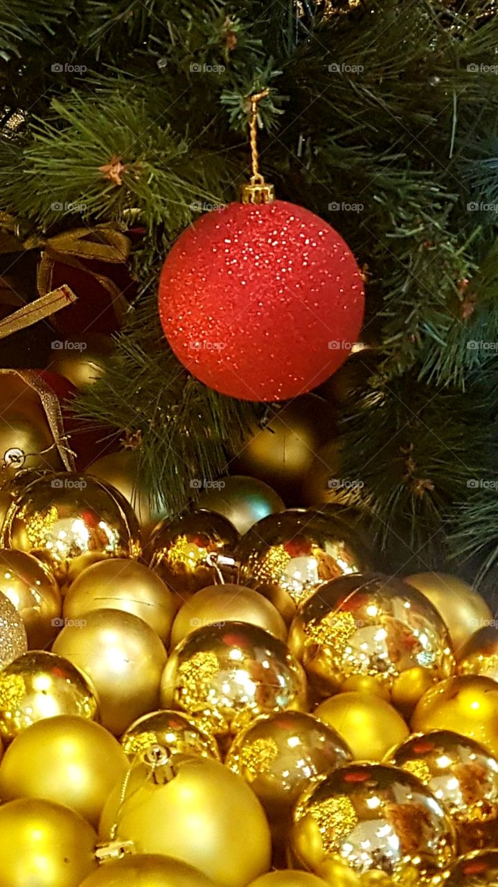 Elements of December