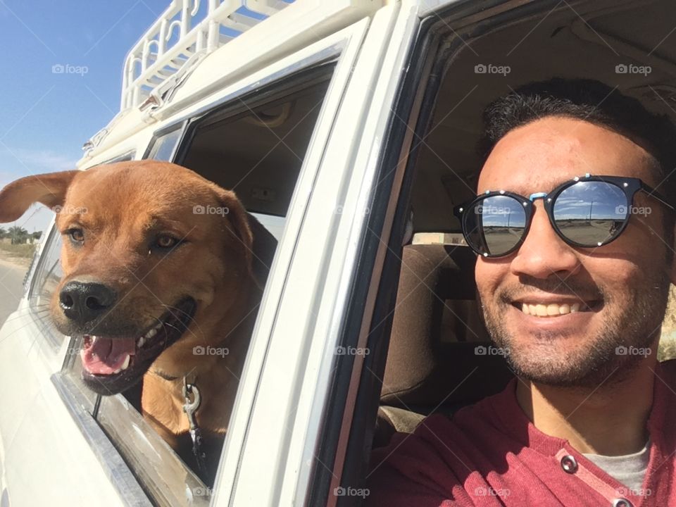 Happy Amoon dog on a trip in Siwa Oasis, Egypt