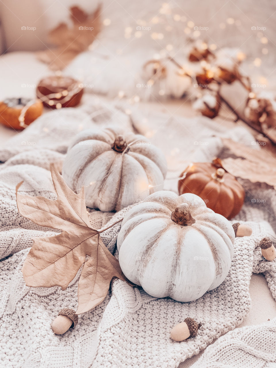 Autumn photo. Beautiful pumpkins with leaves