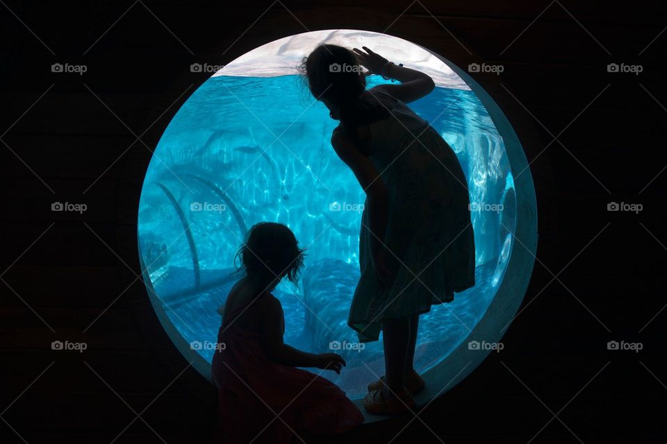 Girls silhouetted in porthole at an aquarium at the zoo 