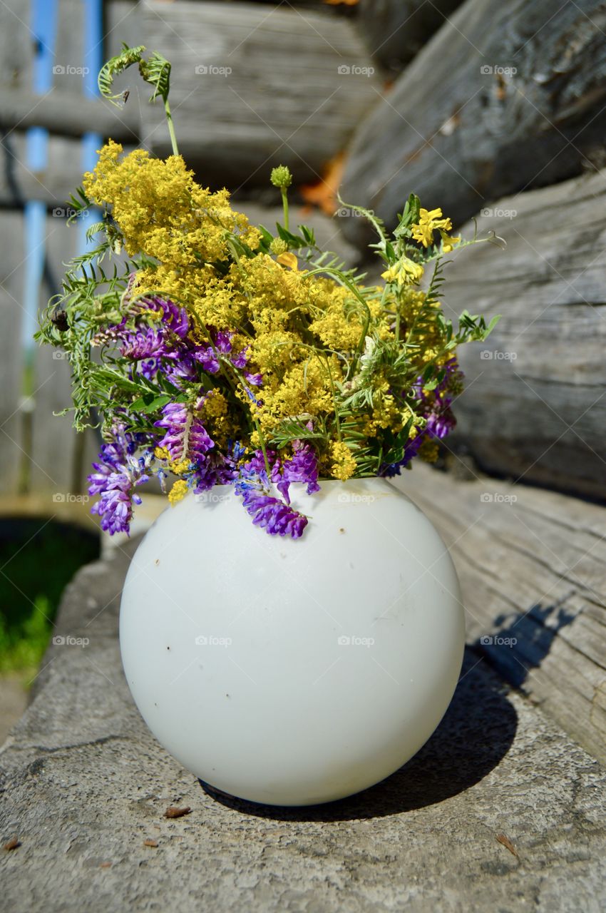 Beautiful wild and meadow flowers are a multi-faceted colorful gift of Mother Nature