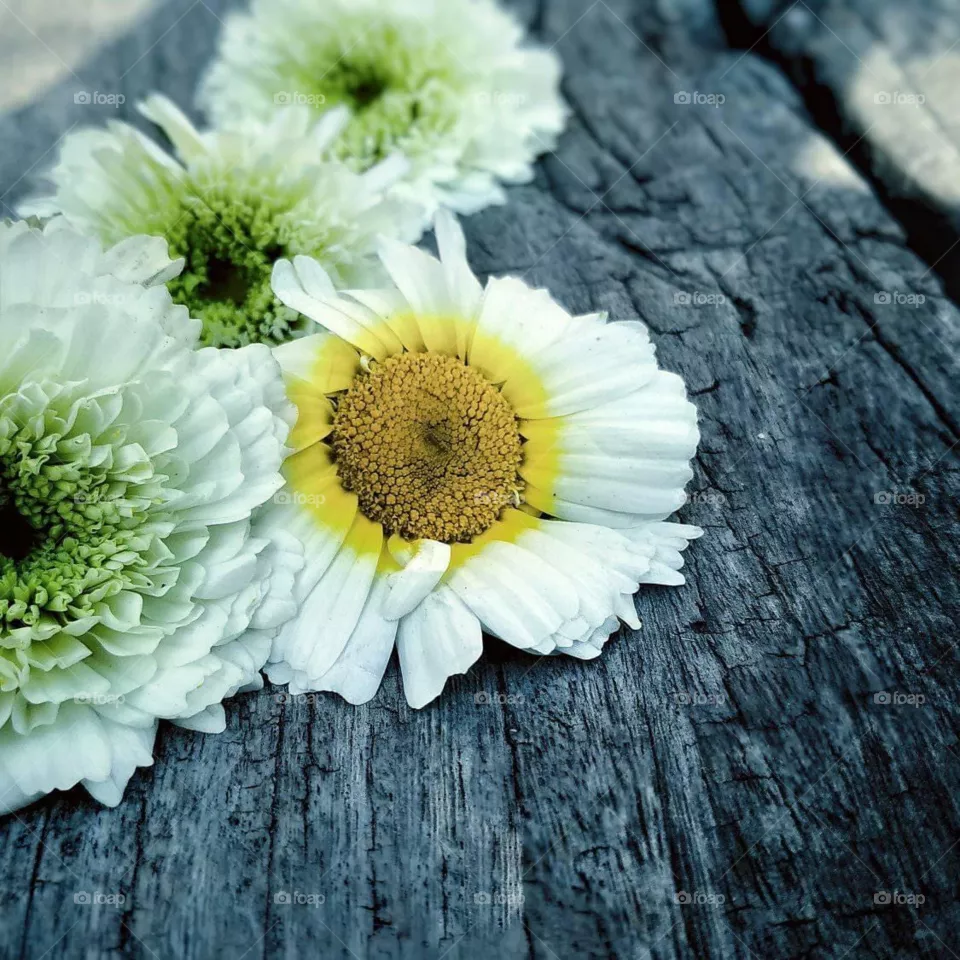 Hope