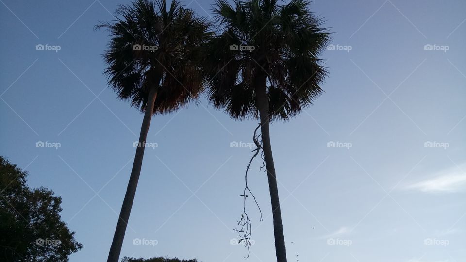 Twinning in a lovely pattern ☺