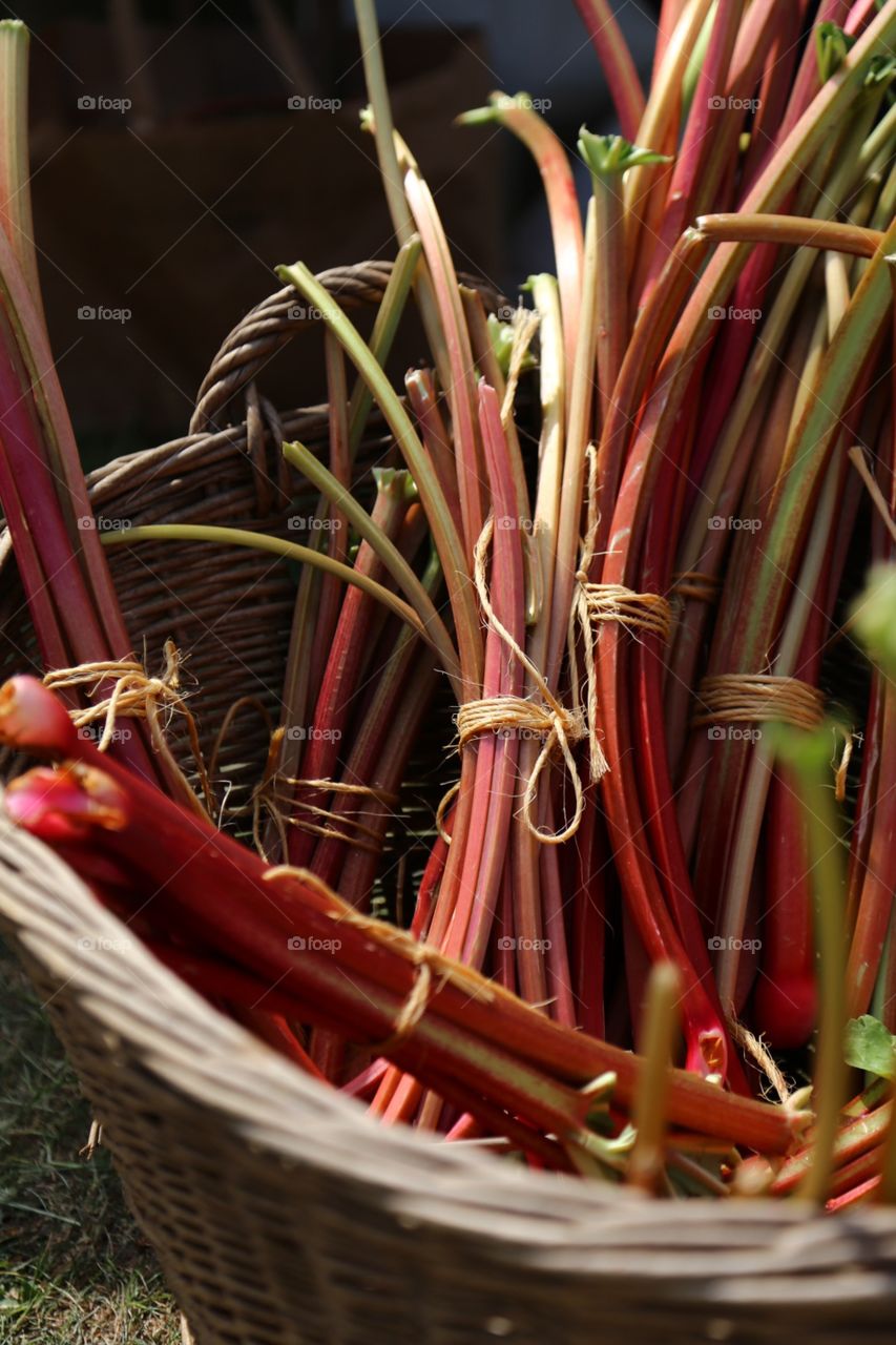 A bunch of rhubarbs in a basket