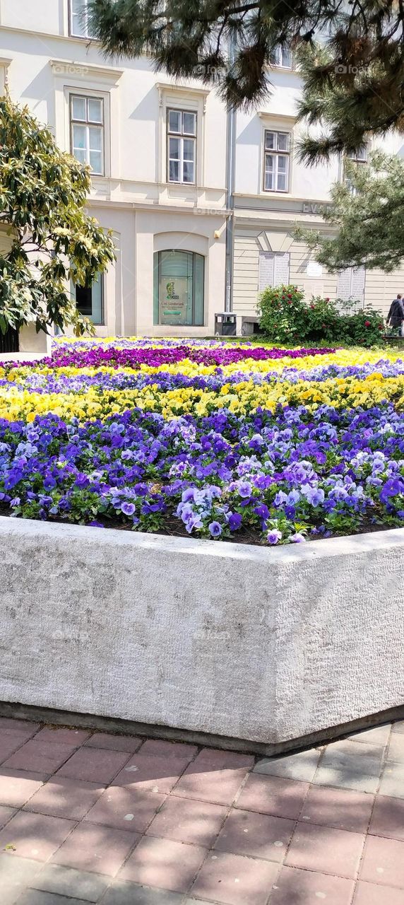 Plants Adoring Busy Commercial Area