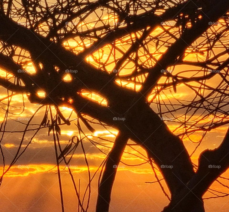 agriculture sunrise sunset sky clouds