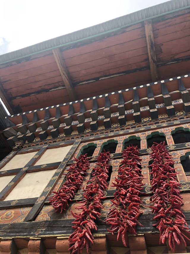Red chilli
