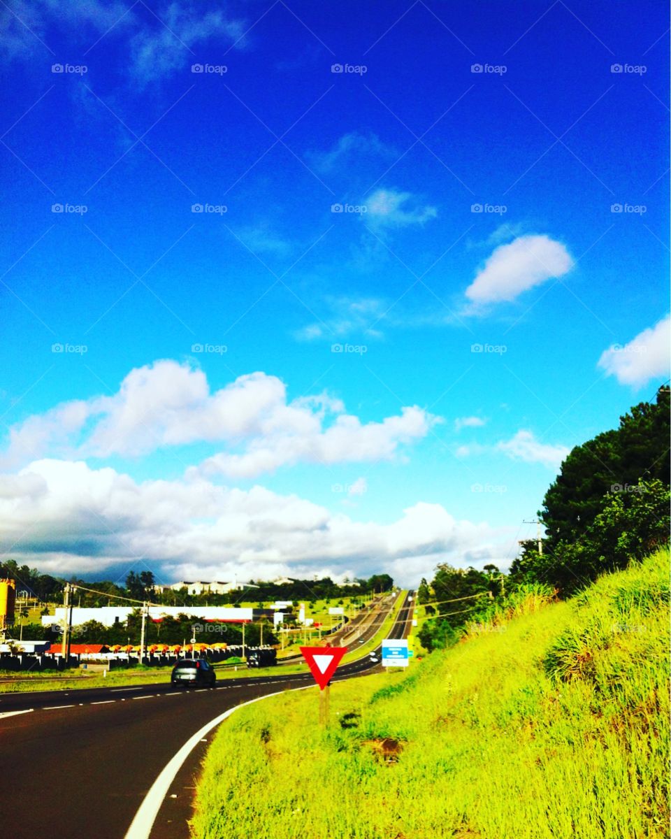 Minha combinação perfeita de #azul e #verde!
🌳 
#sky
#céu
#photo
#nature
#manhã
#morning
#alvorada
#natureza
#horizonte
#fotografia
#paisagem
#inspiração
#amanhecer
#mobgraphy
#FotografeiEmJundiaí