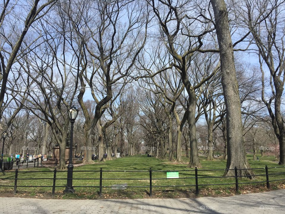 Central Park