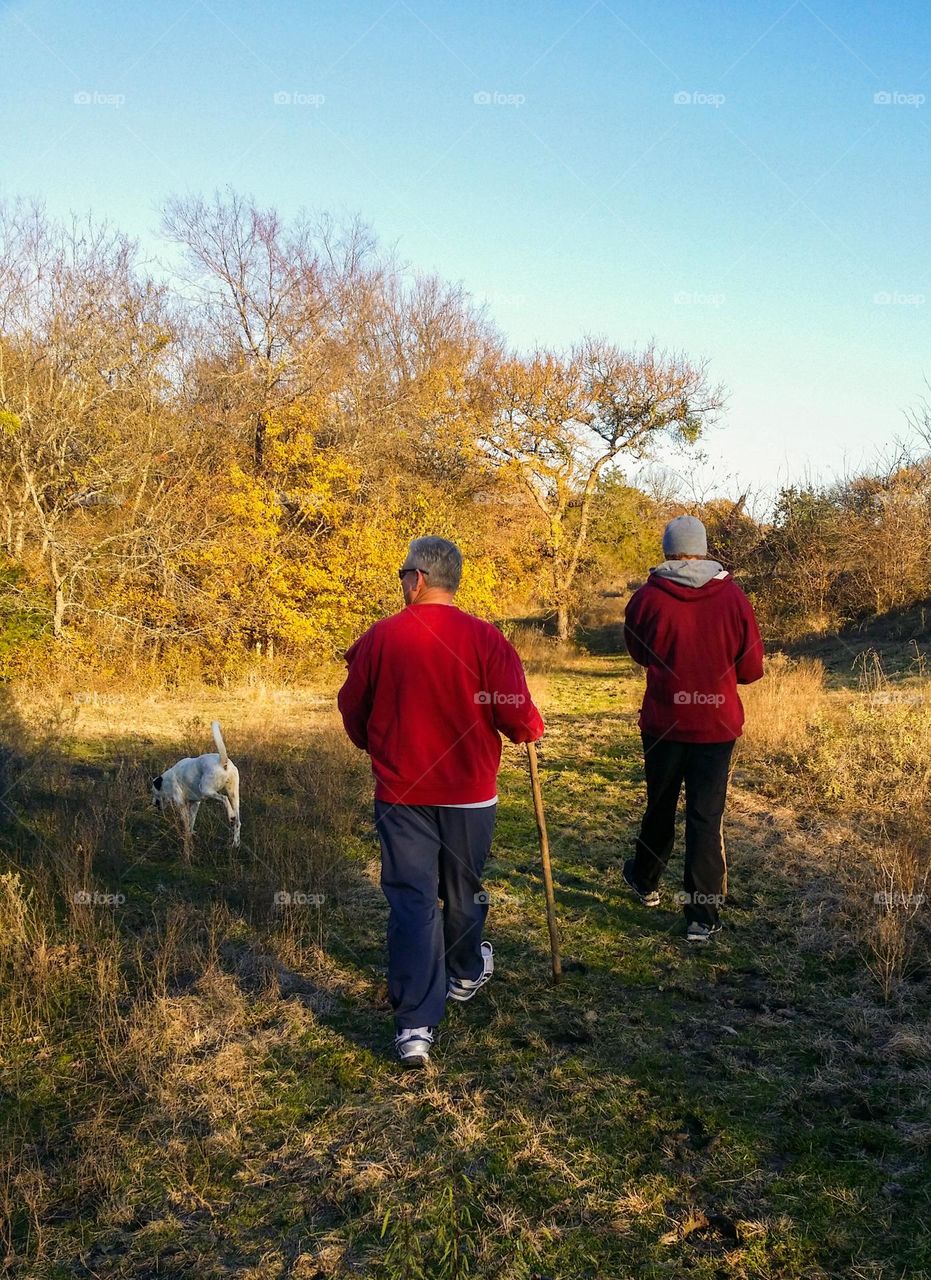 Taking a Hike