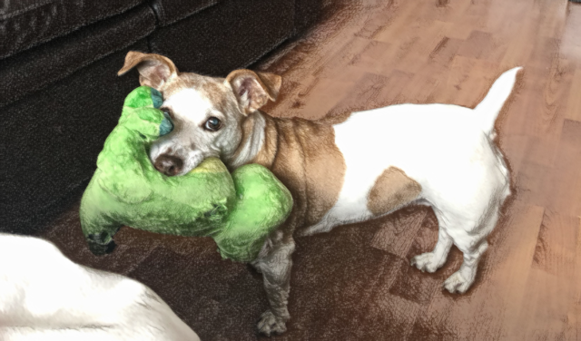Luvs her toy 🧸