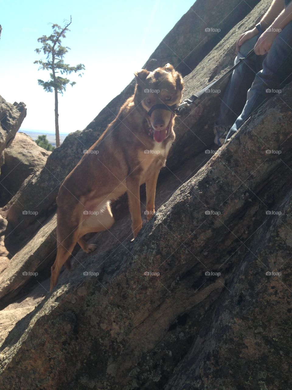 Our mountain climber 