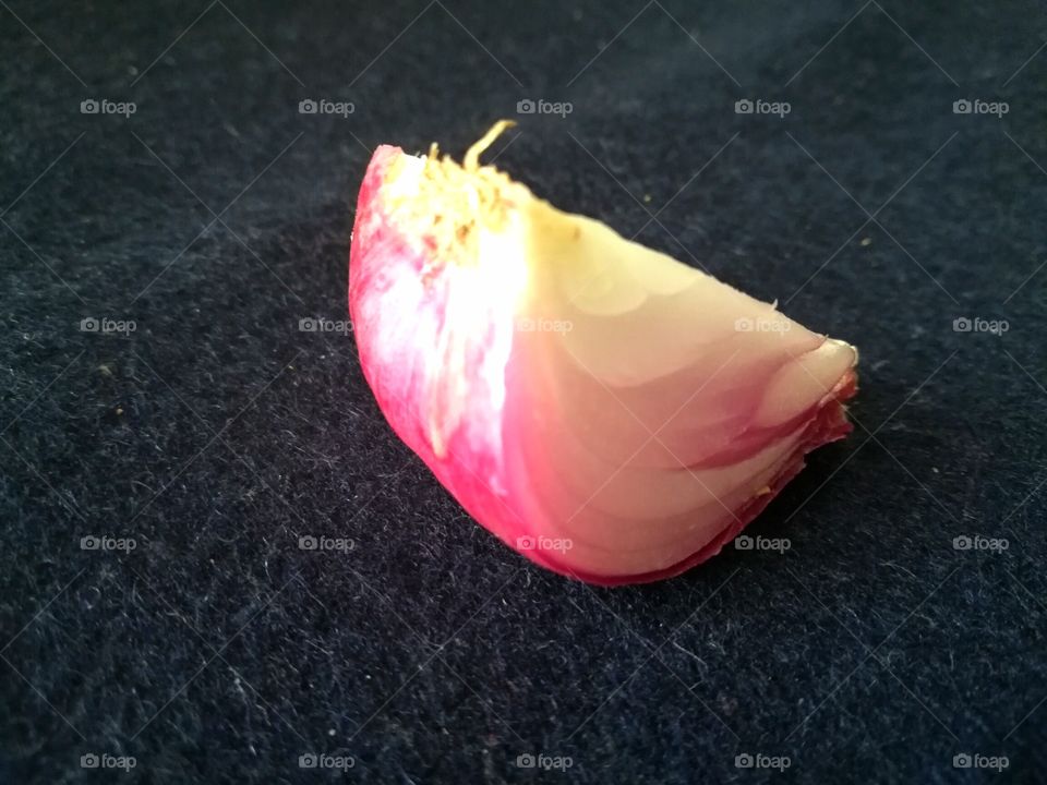 onion