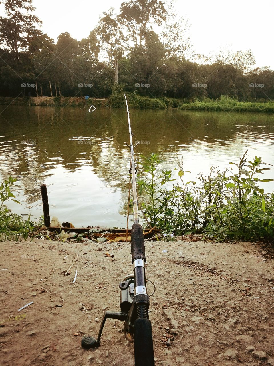 Fishing rod near fish pond