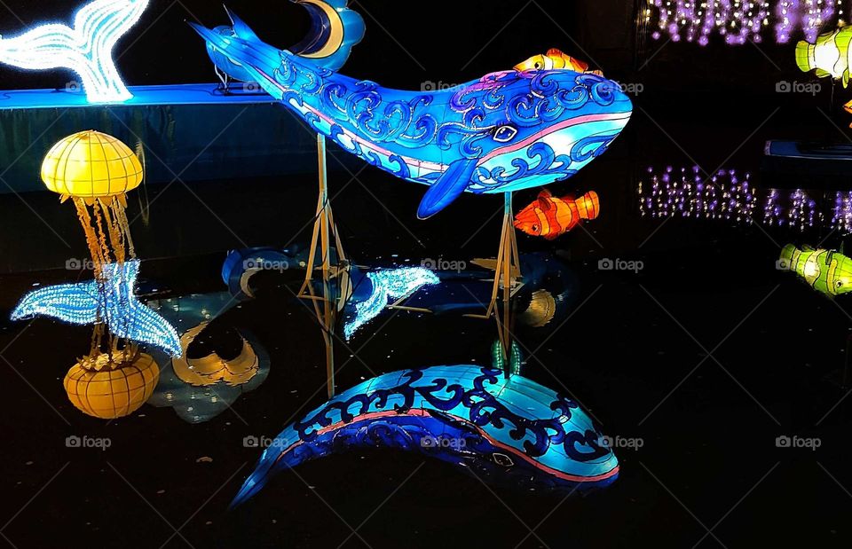 Sea electric Chinese whale Lantern