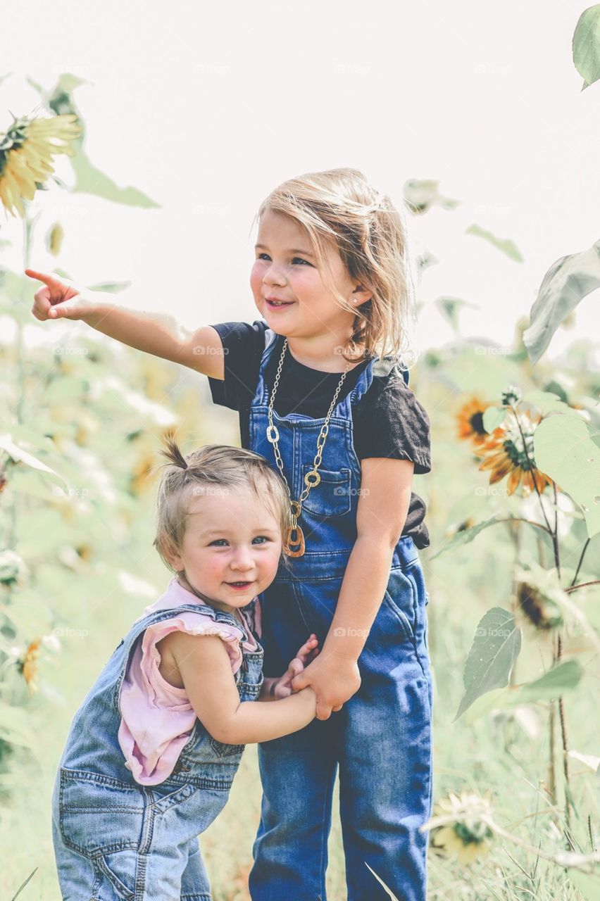 My babies in a sunflower field 