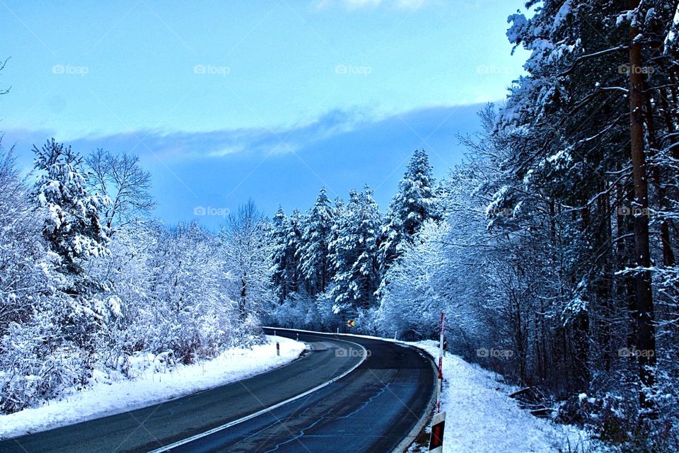 The first day after the snowfall❄️