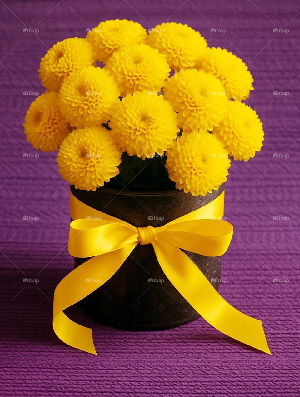 In the heart of colors, you have become the meaning of light, neither yellow nor purple, your very presence is the poetry of life. 
I welcome you with a ribbon of hope from a heart that still believes in blossoming.