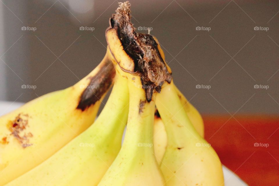 Bunch ripe yellow bananas, stem and upper portions, still life closeup, blurred Bokeh background, copy text space, healthy tropical fruit and food ingredient for baking and cooking, desserts and breads, potassium source, dietary fibre