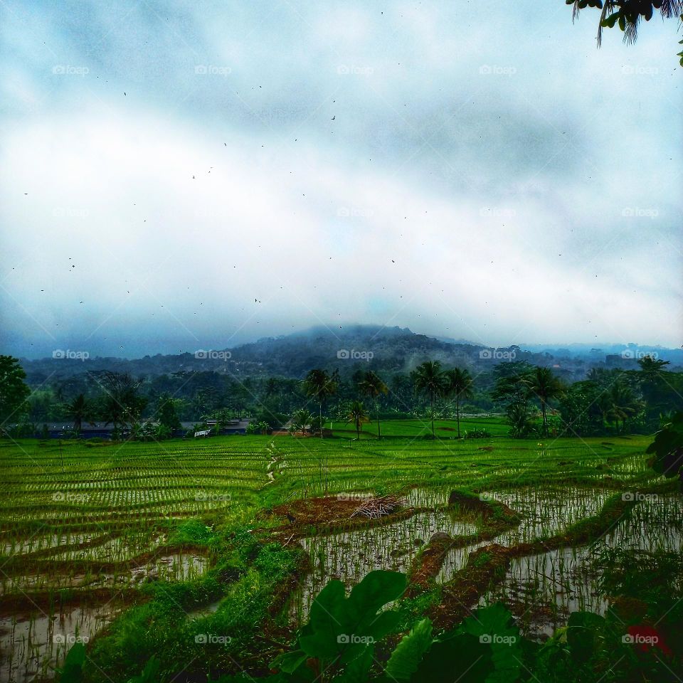 Nice view of the peswahan and surroundings