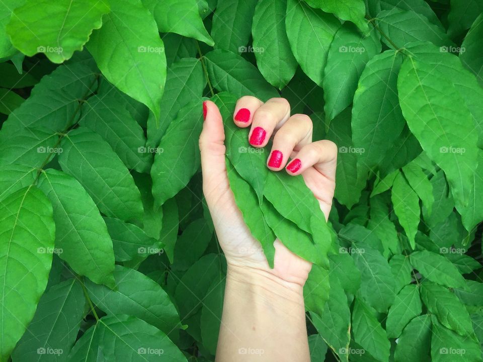 Fresh red manicure