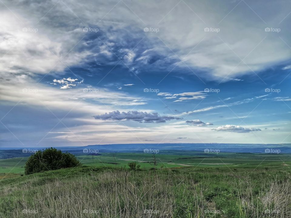 Forest day outdoor nature greens wild forest greens sky clouds moody