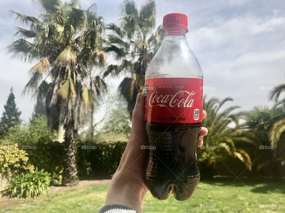 Holding a bottle of coke by the tropical palm trees 