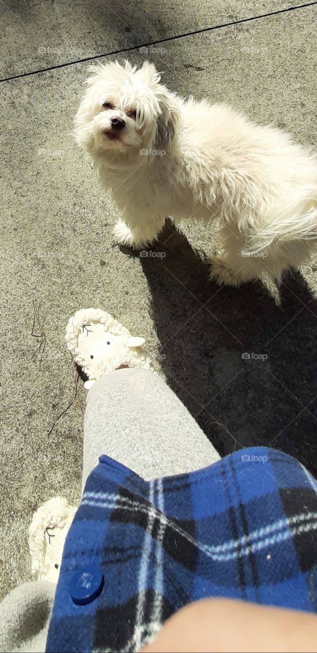 I promise to be good...just don't turn me into one of those😣😱😁