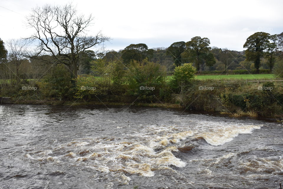 Stream flowing between the fields