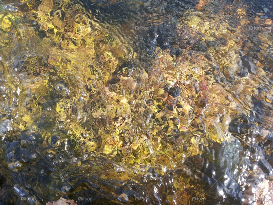 Águas e algas do Rio Capibaribe em São Lourenço da Mata, Pernambuco, Brasil. 