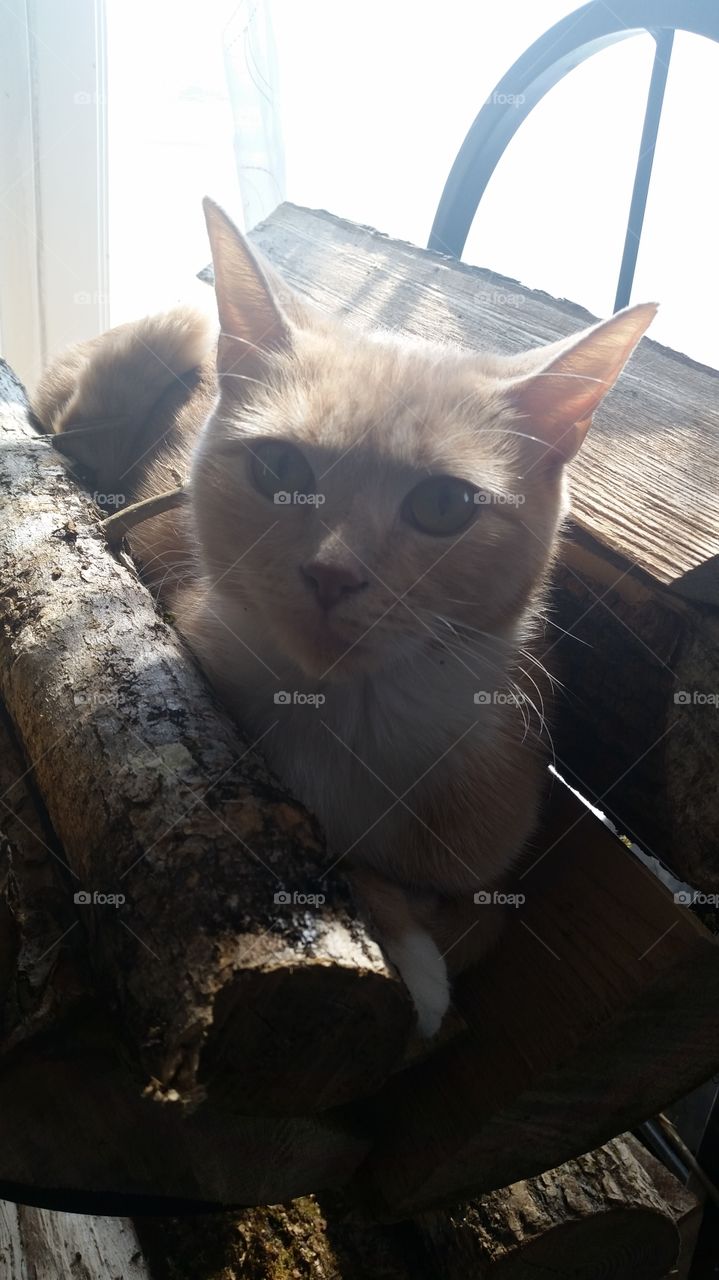 wait, that isn't a log