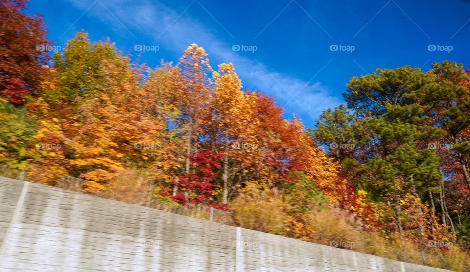 Highway Fall View * Vista de carretera en otoño