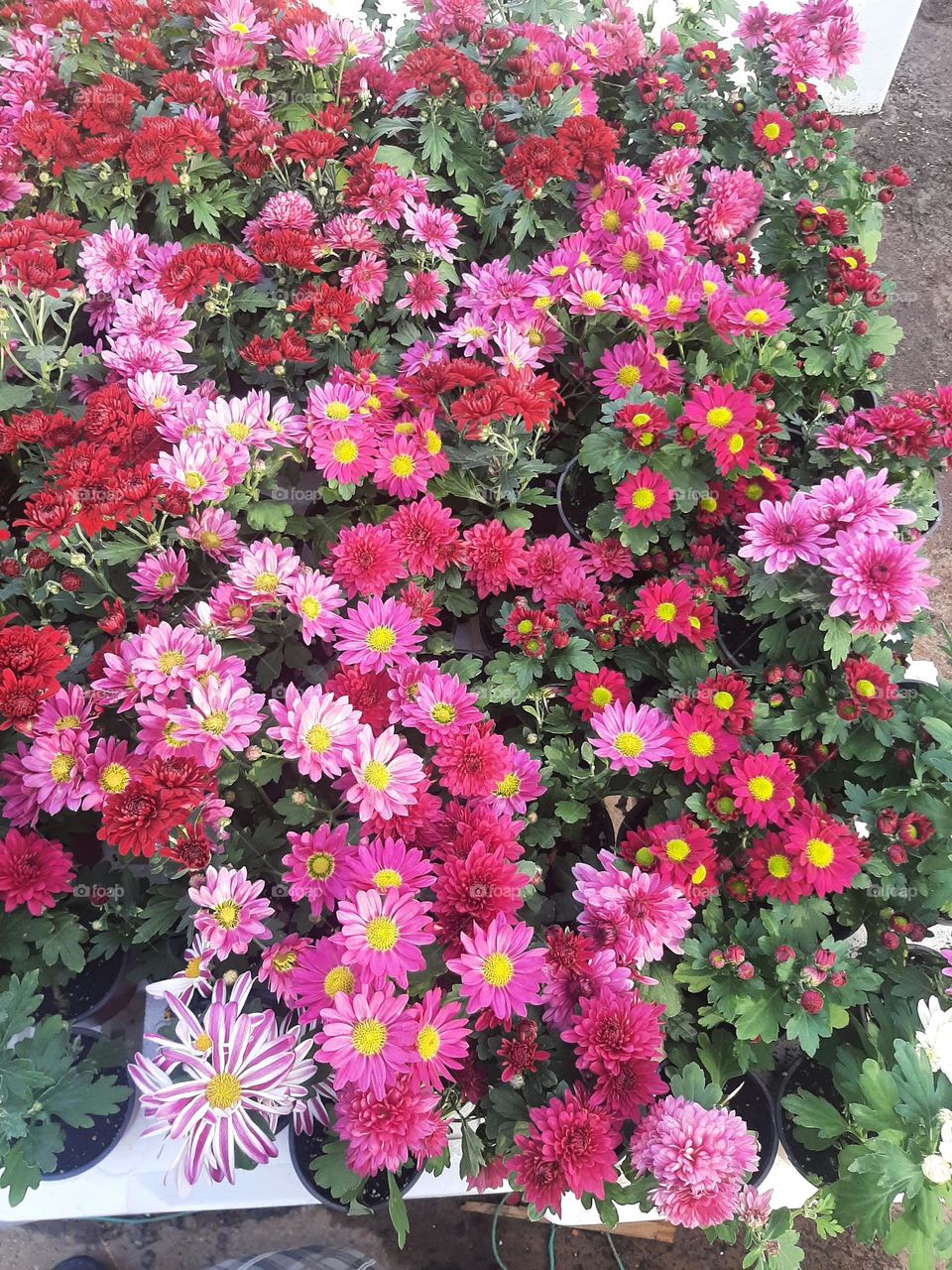 Please make me happy, I am poor, I need your help with support