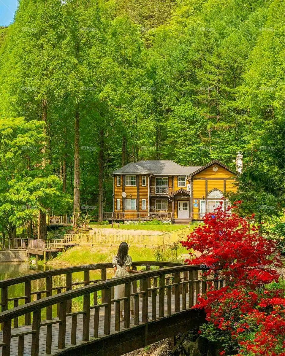 Glory be to God, the magnificent and picturesque view and the natural green trees are a view that is nothing more wonderful than it