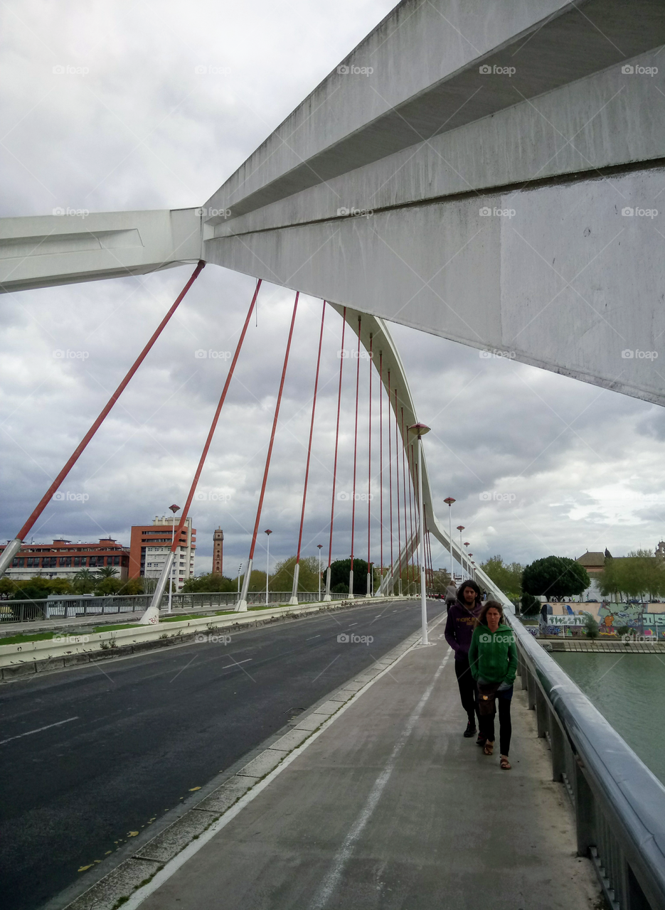 Seville bridge