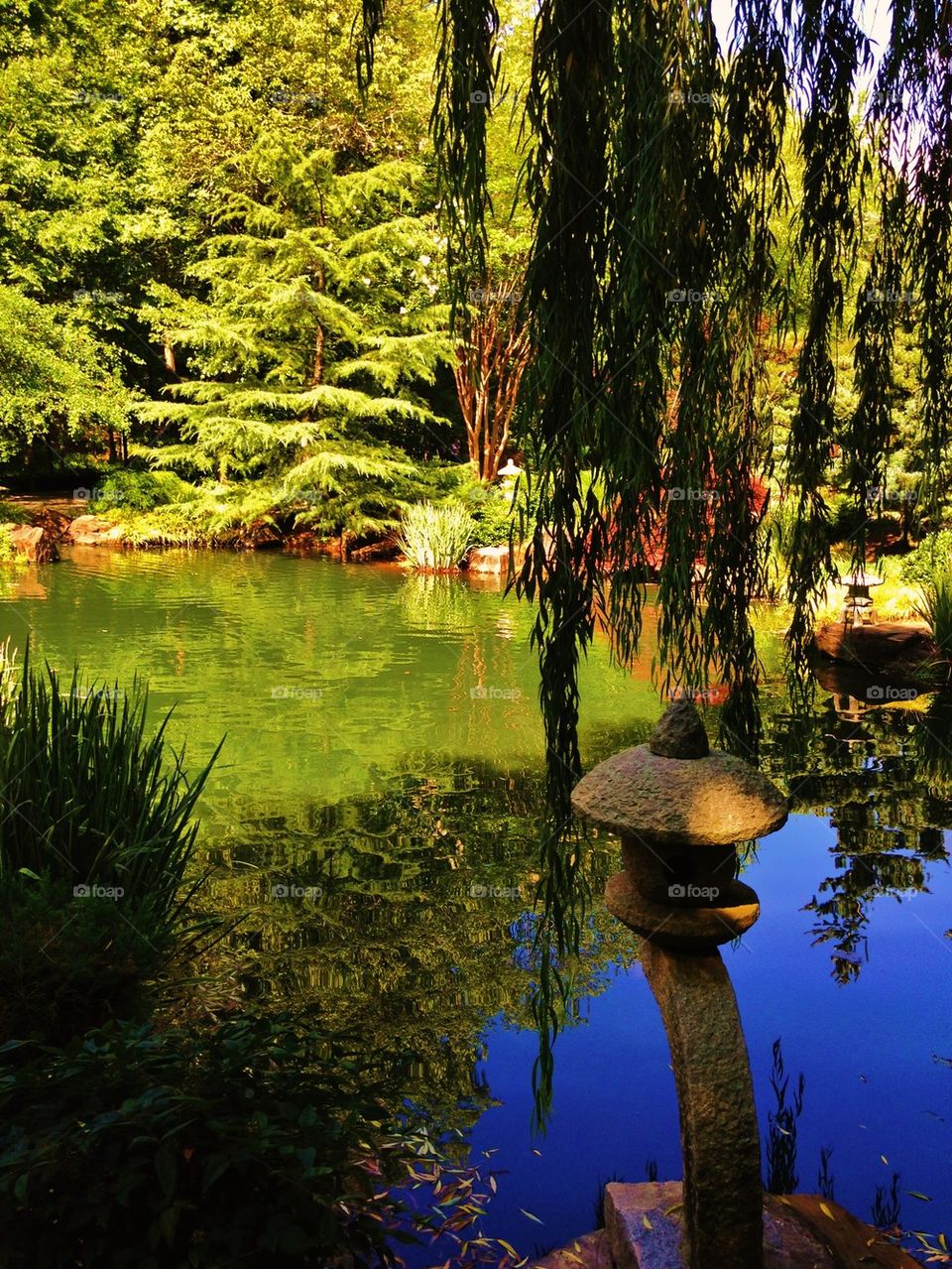 Pond with rocks and trees