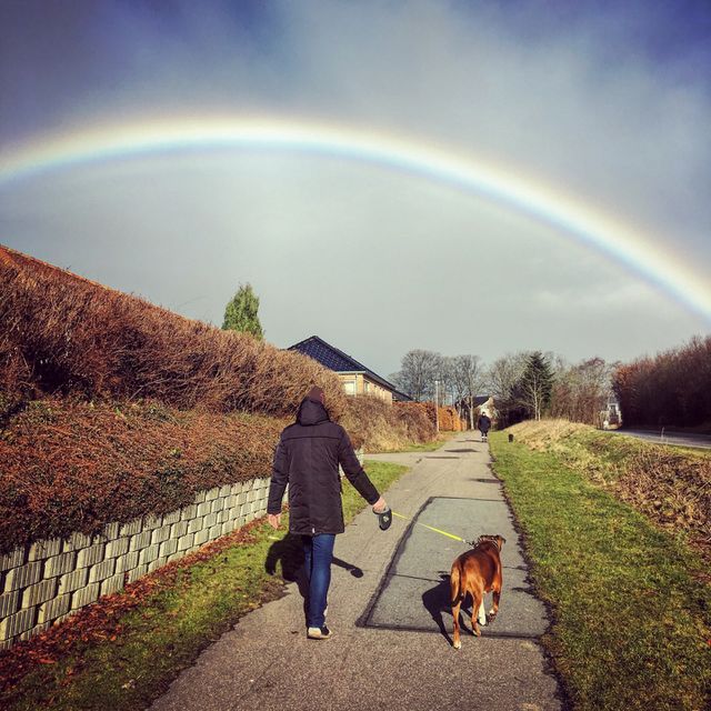 Under the rainbow.