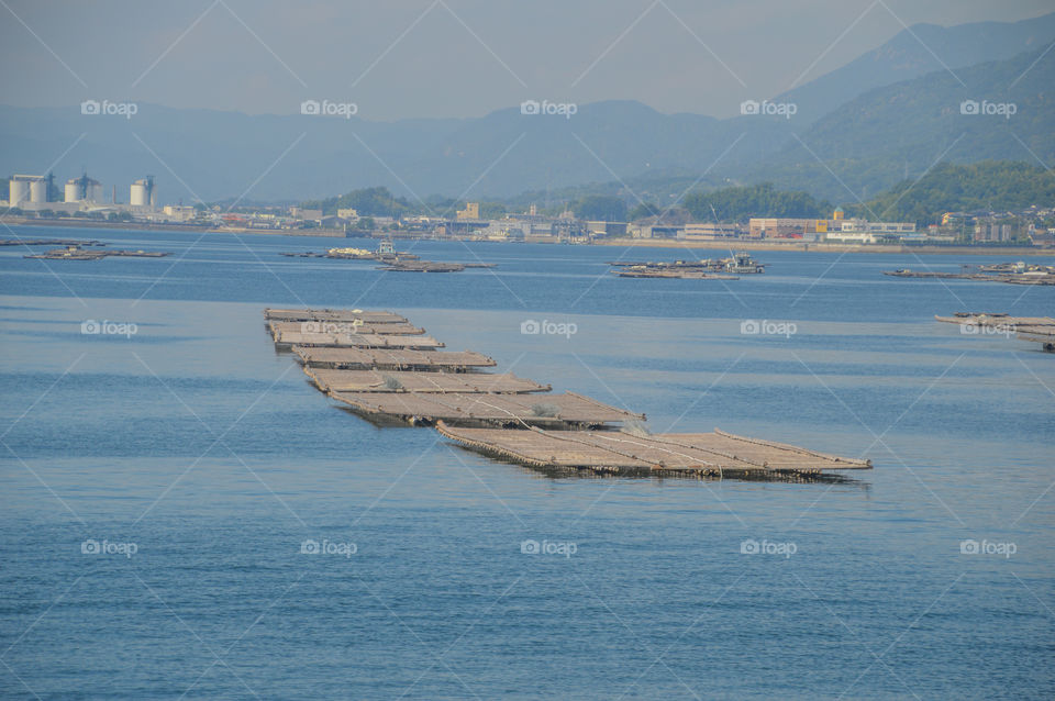 Oyster Nets Around Miyajima Island Japan