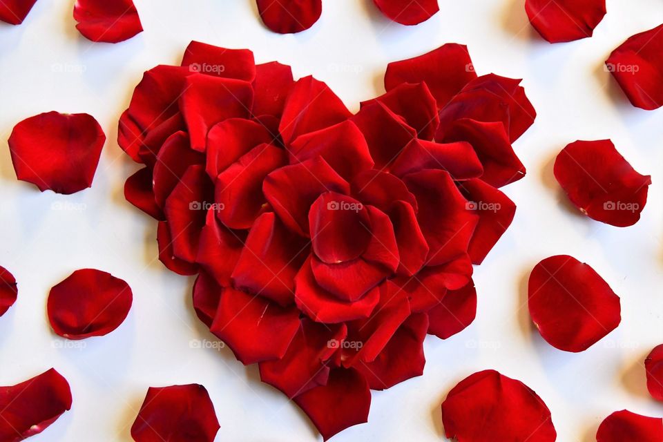 Red roses petals heart