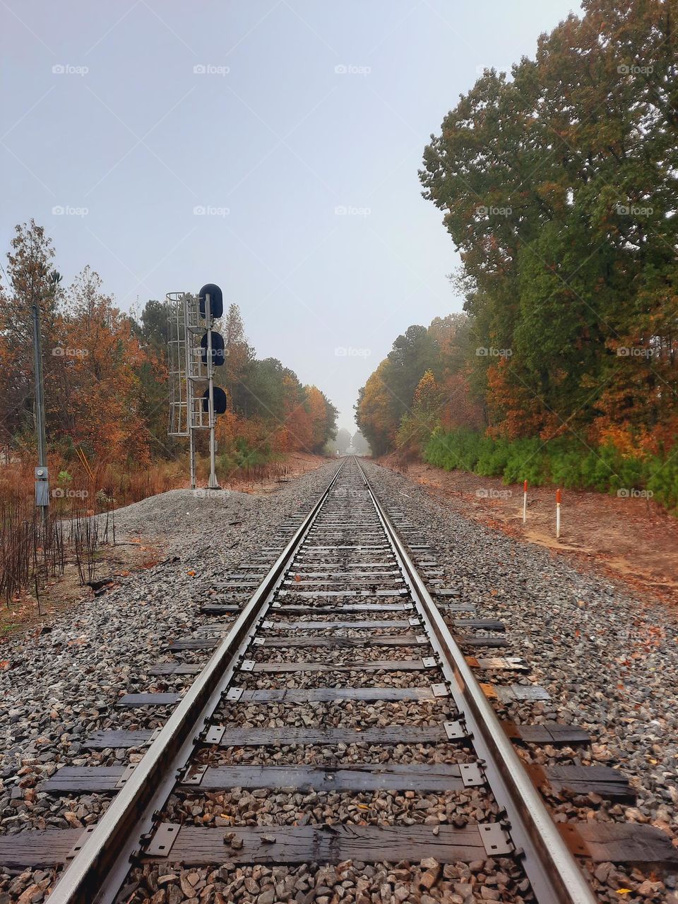Fall on the railroad tracks