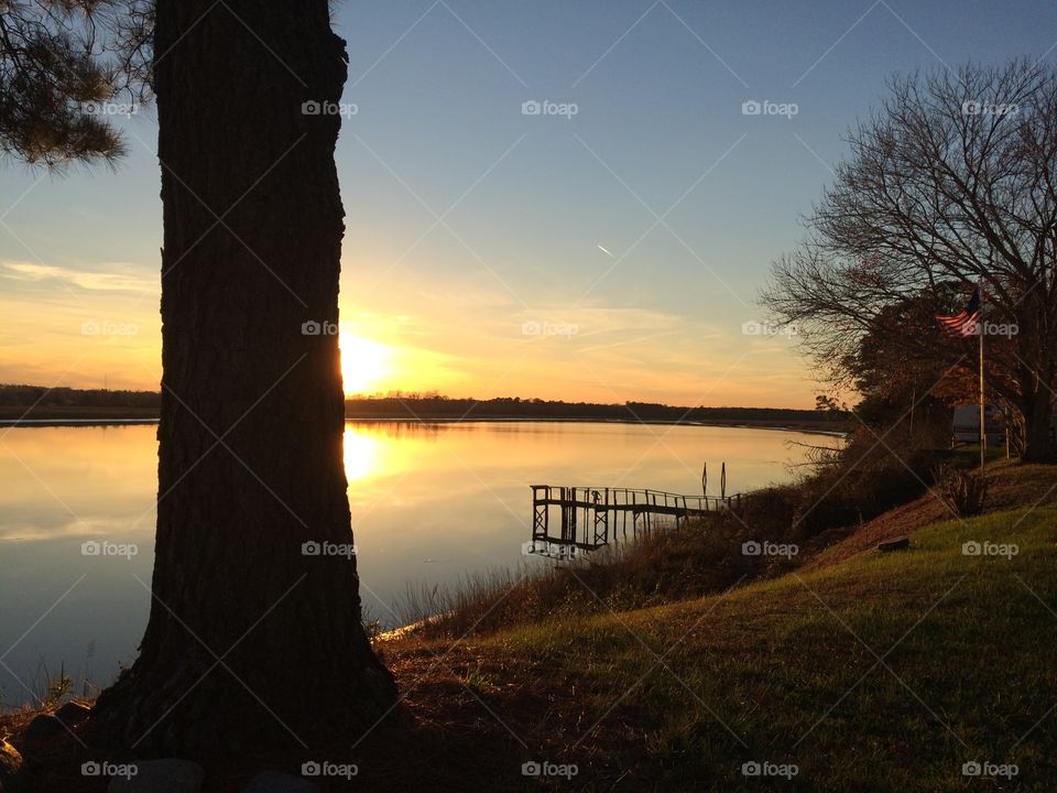 Dawn, Sunset, Tree, No Person, Landscape