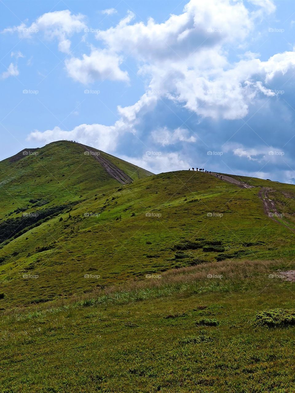 trekking in the mountains. travel to the Carpathian mountains