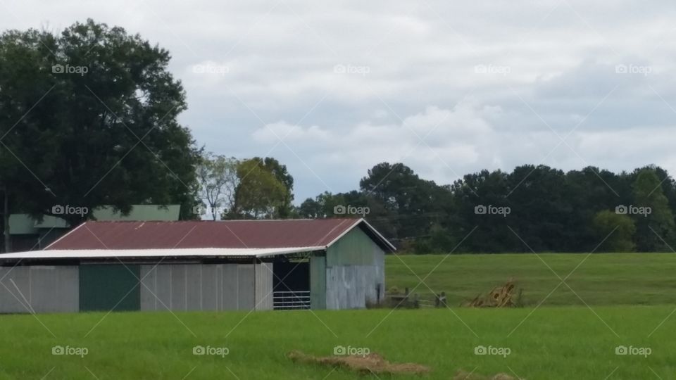 barn in site